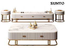 Modern Designer Coffee Table Sets