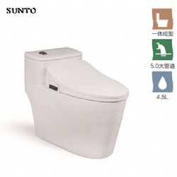 One Piece Toilet